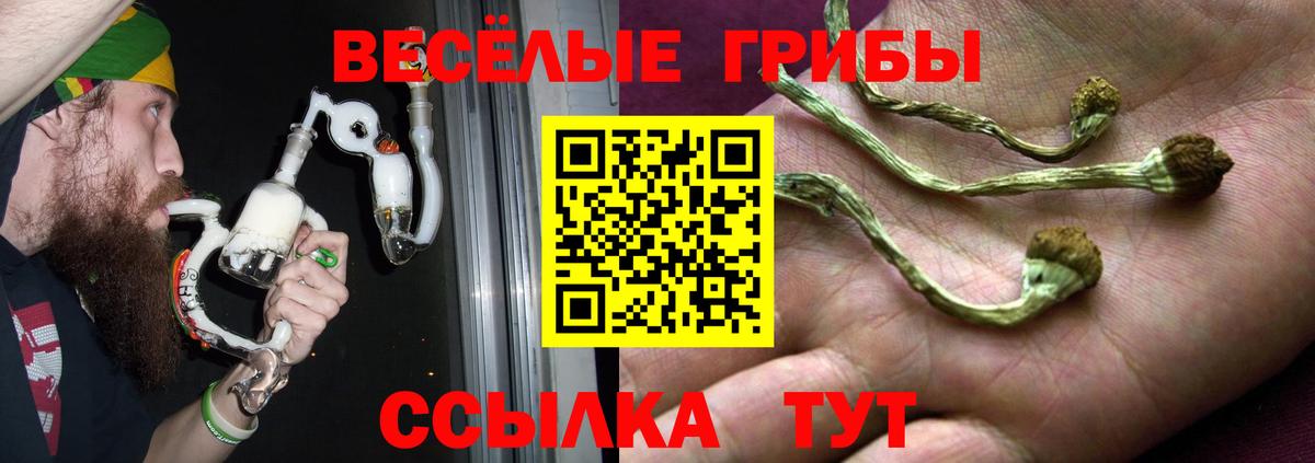 Курчатов  Галлюциногенные грибы Cubensis  Вход с VPN  Галлюциногенные грибы Cubensis 